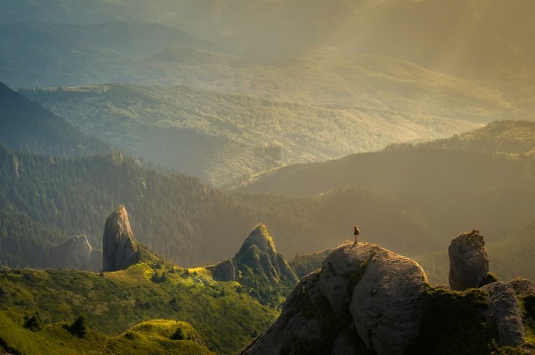 Déconnexion avec la nature et éco-anxiété chez les jeunes : une étude approfondie